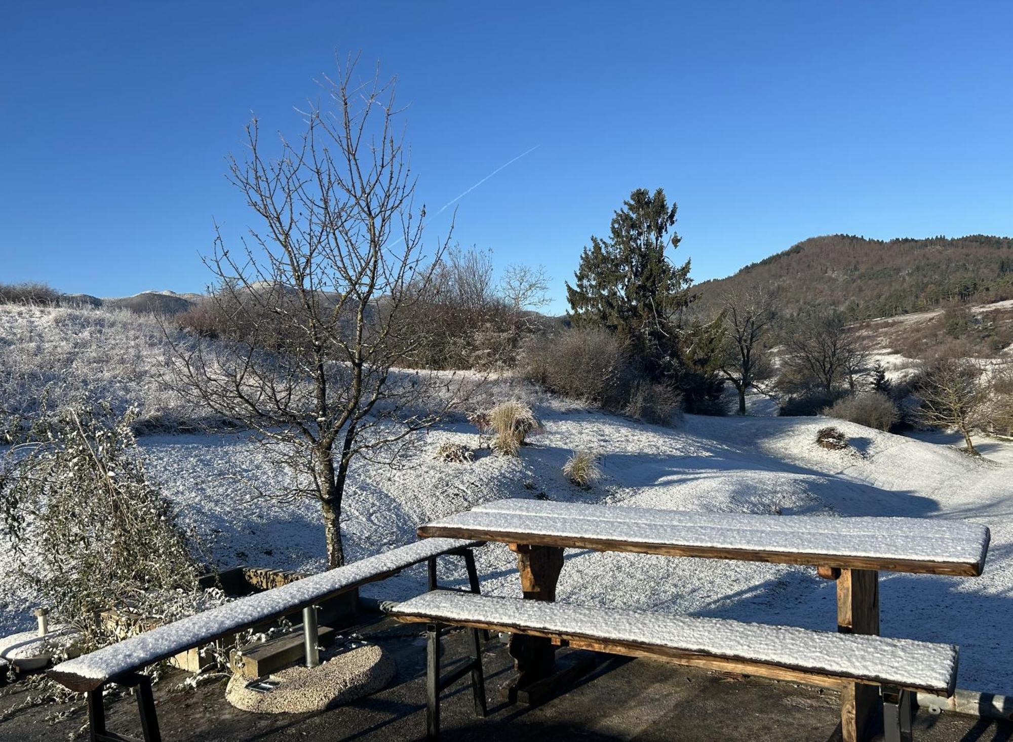 Lovely Apartment In Nature With Sauna! Postojna Εξωτερικό φωτογραφία